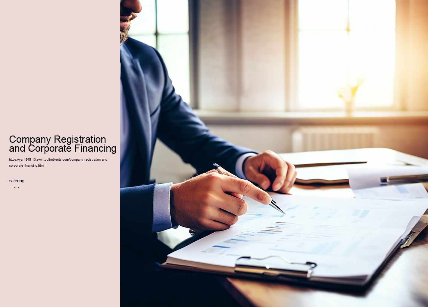 Company Registration and Corporate Financing