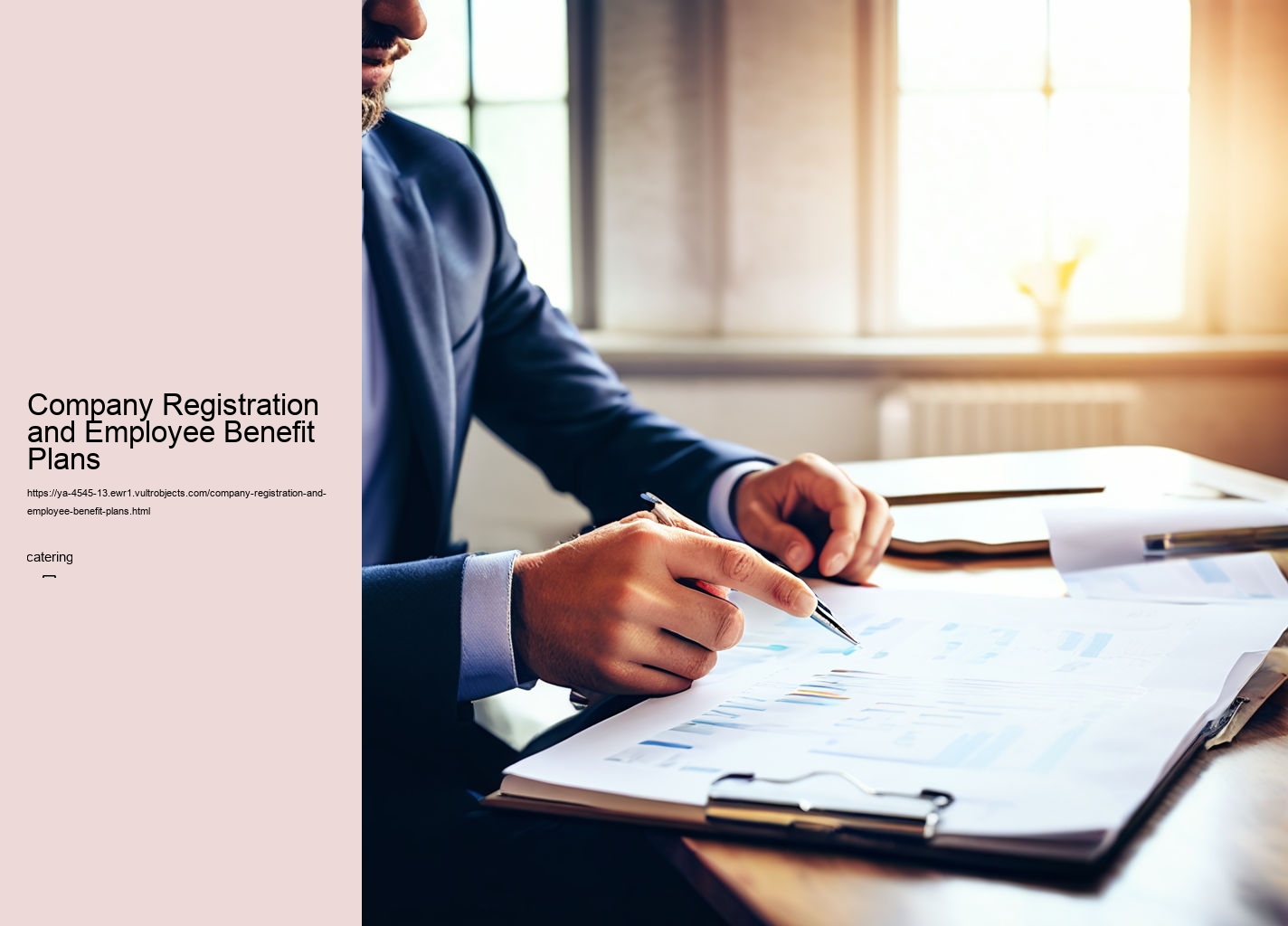 Company Registration and Employee Benefit Plans