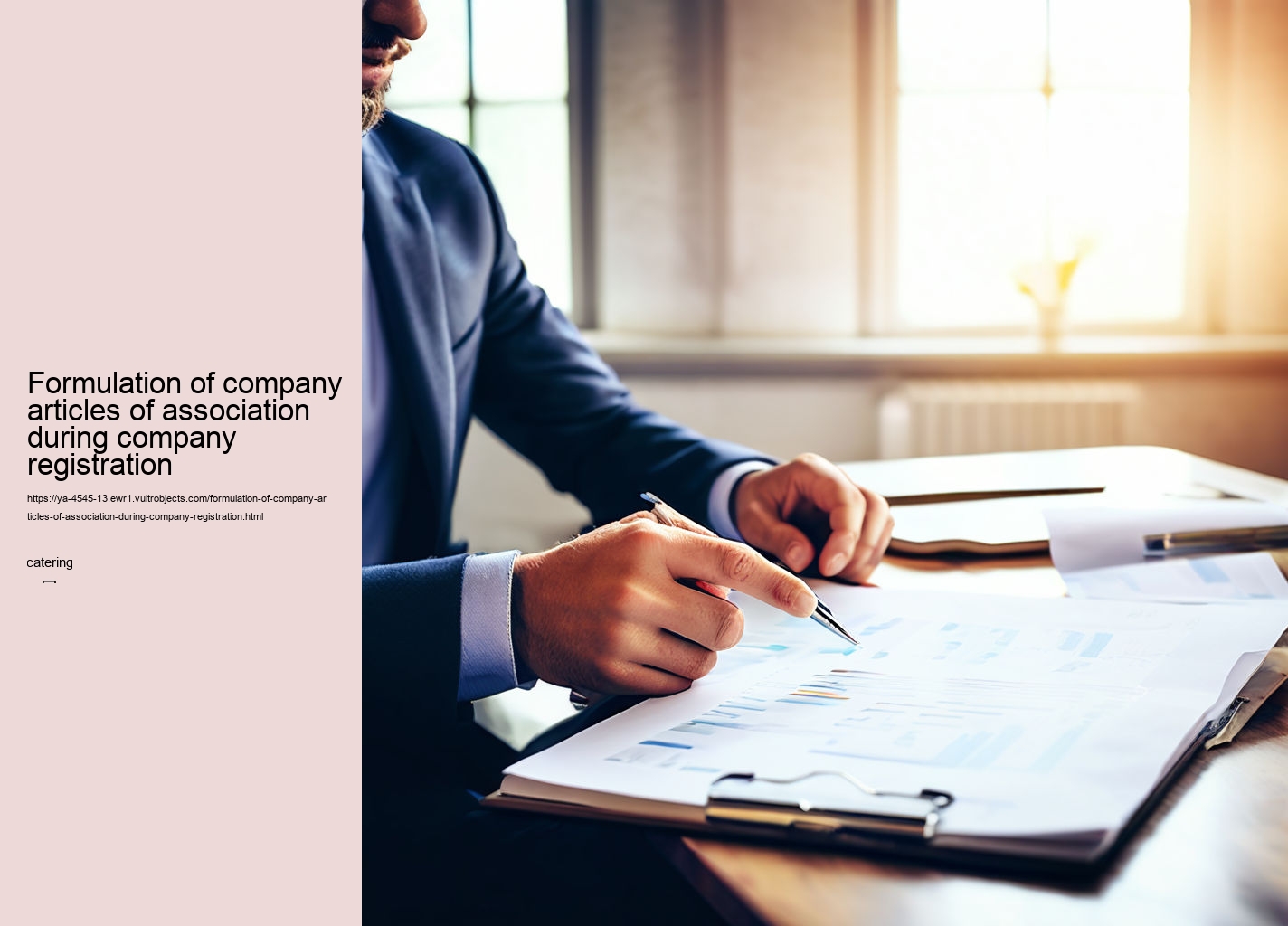 Formulation of company articles of association during company registration